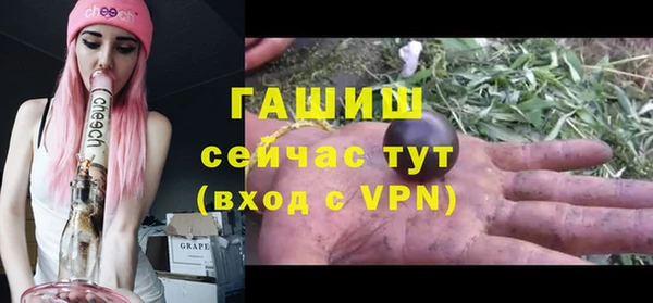 гидра Алексин