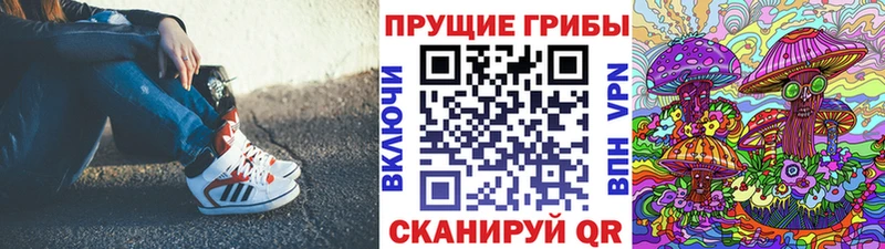 Псилоцибиновые грибы мицелий  omg ТОР  Благодарный  закладки 