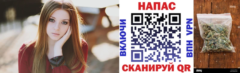 Канабис сатива Благодарный
